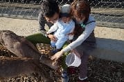 公益活動~下載「小白出任務」line貼圖,為流浪動物儘一份心力~ 一起支持「領養代替購買」、「尊重動物保護法」 - 第8張圖 公益活動~下載「小白出任務」line貼圖,為流浪動物儘一份心力~ 一起支持「領養代替購買」、「尊重動物保護法」