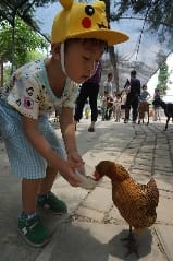 公益活動~下載「小白出任務」line貼圖,為流浪動物儘一份心力~ 一起支持「領養代替購買」、「尊重動物保護法」 - 第2張圖 公益活動~下載「小白出任務」line貼圖,為流浪動物儘一份心力~ 一起支持「領養代替購買」、「尊重動物保護法」