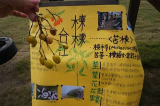 台江文化中心~台江文化中心圖書館、台江劇場、終身學習棟(社區大學)~三合一新安南區台南文化中心 - 第10張圖 台江文化中心~台江文化中心圖書館、台江劇場、終身學習棟(社區大學)~三合一新安南區台南文化中心