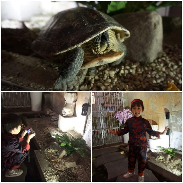 赤崁壐樓-原禪食蔬食餐廳~吃出素食好味道/台南復古餐廳/台南素食/台南人氣美食餐廳/台南蔬食餐廳/台南奶素全素蔬食/台南高CP值餐廳 /台南人氣美食 - 第7張圖 赤崁壐樓-原禪食蔬食餐廳~吃出素食好味道/台南復古餐廳/台南素食/台南人氣美食餐廳/台南蔬食餐廳/台南奶素全素蔬食/台南高CP值餐廳 /台南人氣美食