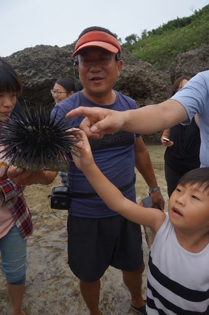 小琉球民宿番仔厝套裝行程~小琉球親子就醬玩全攻略~跟著屎蛋乘風破浪去旅行!烏鬼洞、花瓶岩、潮間帶導覽 - 第23張圖 小琉球民宿番仔厝套裝行程~小琉球親子就醬玩全攻略~跟著屎蛋乘風破浪去旅行!烏鬼洞、花瓶岩、潮間帶導覽