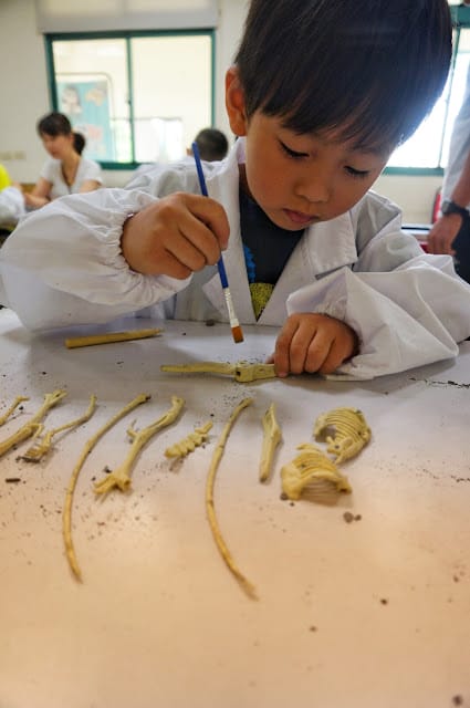 侏儸紀VR視界,我是小小考古學家~科學教練-組裝孩子的科學夢想 - 第10張圖 侏儸紀VR視界,我是小小考古學家~科學教練-組裝孩子的科學夢想