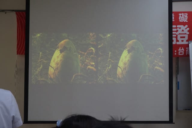 侏儸紀VR視界,我是小小考古學家~科學教練-組裝孩子的科學夢想 - 第19張圖 侏儸紀VR視界,我是小小考古學家~科學教練-組裝孩子的科學夢想