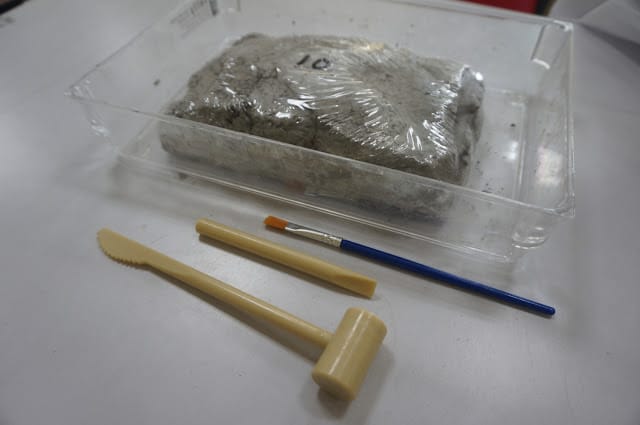 侏儸紀VR視界,我是小小考古學家~科學教練-組裝孩子的科學夢想 - 第8張圖 侏儸紀VR視界,我是小小考古學家~科學教練-組裝孩子的科學夢想