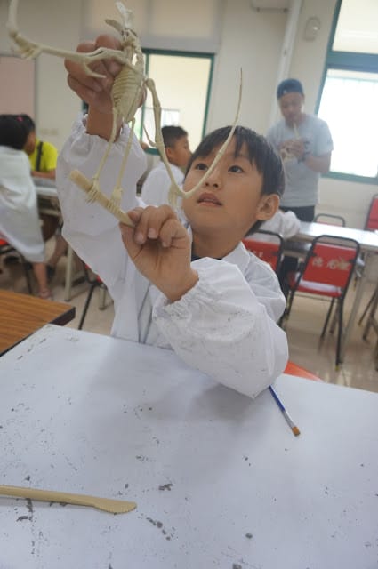 侏儸紀VR視界,我是小小考古學家~科學教練-組裝孩子的科學夢想 - 第13張圖 侏儸紀VR視界,我是小小考古學家~科學教練-組裝孩子的科學夢想