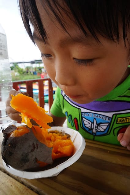 馬沙溝農夫的家~一起灰頭土臉焢土窯、體驗釣魚划膠筏獨木舟SUP立式划槳桶仔雞烤肉