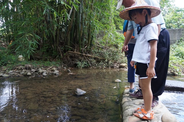[親子旅遊]【沁涼鳳荔水水行X跟著大佛採食趣】踩線團，鳳荔季最強體驗活動精彩出發！