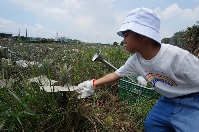 [親子旅遊]【沁涼鳳荔水水行X跟著大佛採食趣】踩線團，鳳荔季最強體驗活動精彩出發！