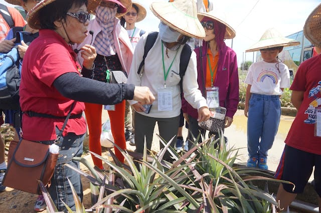 [親子旅遊]【沁涼鳳荔水水行X跟著大佛採食趣】踩線團，鳳荔季最強體驗活動精彩出發！