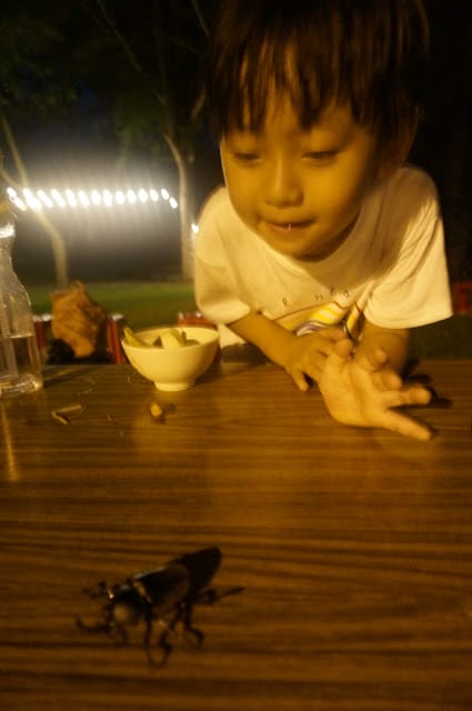 [親子旅遊]【沁涼鳳荔水水行X跟著大佛採食趣】踩線團，鳳荔季最強體驗活動精彩出發！