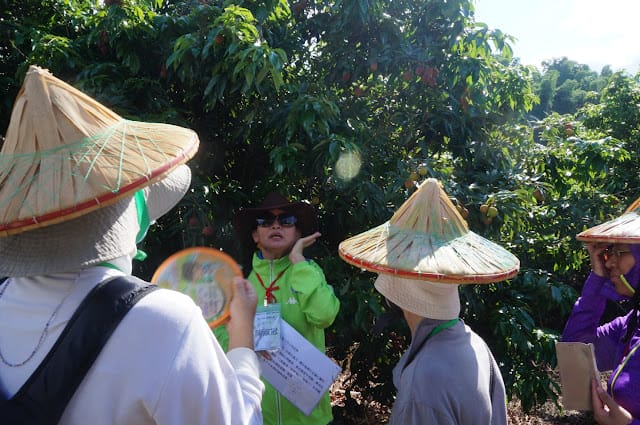 [親子旅遊]【沁涼鳳荔水水行X跟著大佛採食趣】踩線團，鳳荔季最強體驗活動精彩出發！