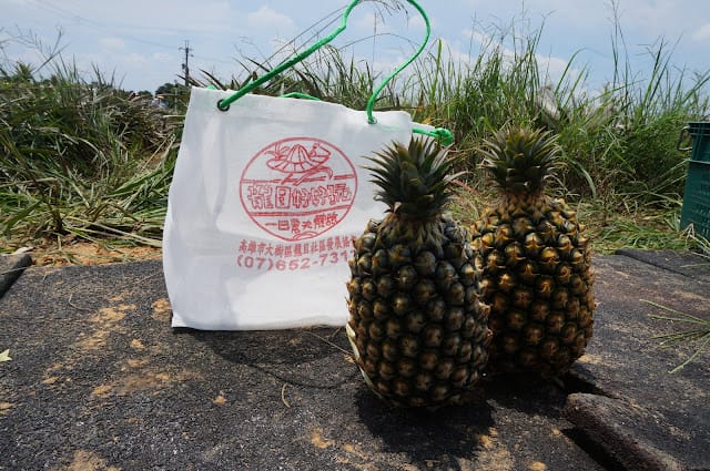 [親子旅遊]【沁涼鳳荔水水行X跟著大佛採食趣】踩線團，鳳荔季最強體驗活動精彩出發！