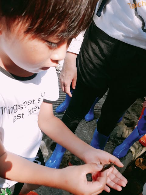 [親子旅遊]【沁涼鳳荔水水行X跟著大佛採食趣】踩線團，鳳荔季最強體驗活動精彩出發！