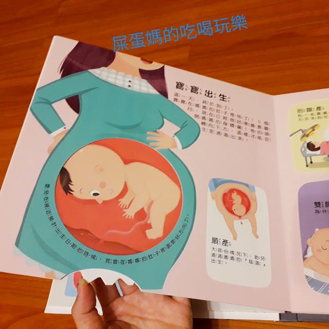 ［童書］ 生孩子的秘密怎麼說？性教育啟蒙 身體的秘密立體遊戲書 https://hvvtt2.1shop.tw/sp71by