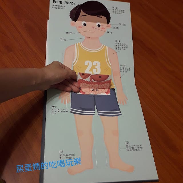 ［童書］ 生孩子的秘密怎麼說？性教育啟蒙 身體的秘密立體遊戲書 https://hvvtt2.1shop.tw/sp71by