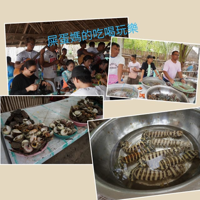 ［菲律賓遊學旅遊］最夯的一日跳島遊，必去的知名廣告拍攝地資生堂島！跟著新飛遊學趣，帶你瘋遊學～菲律賓宿霧海外遊學￼宿霧