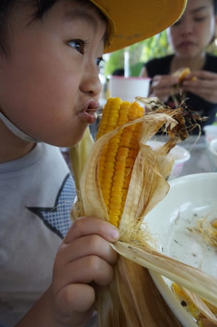 ［親子旅遊］嘉義市樂活農場－教你紮實土法控土窯、童趣田野捉泥鰍