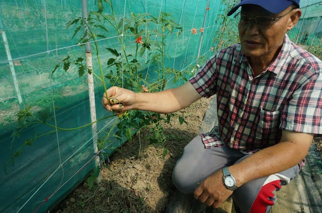 ［親子旅遊］嘉義市樂活農場－教你紮實土法控土窯、童趣田野捉泥鰍