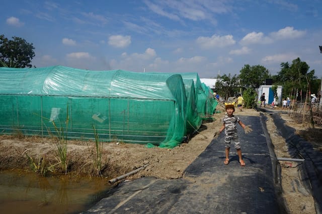 ［親子旅遊］嘉義市樂活農場－教你紮實土法控土窯、童趣田野捉泥鰍