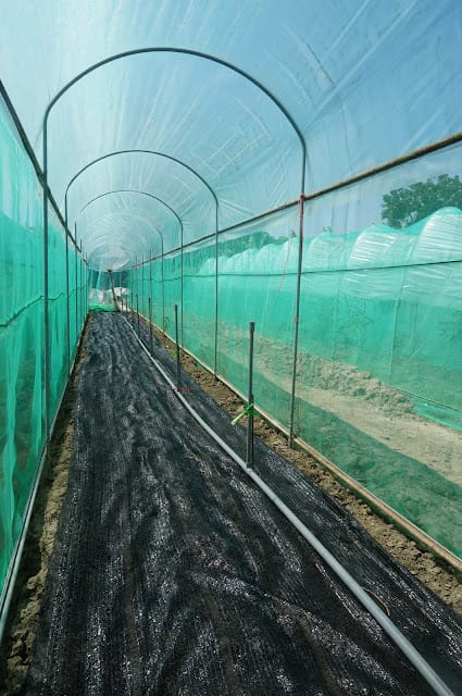 ［親子旅遊］嘉義市樂活農場－教你紮實土法控土窯、童趣田野捉泥鰍