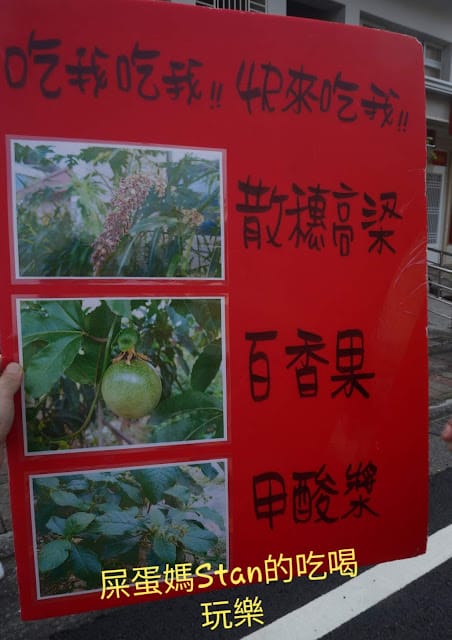 ［親子旅遊］Touch Taiwan公益旅遊平台 高雄/甲仙大武壠族小林部落日光小林一日遊