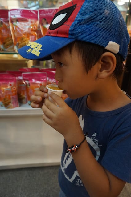［親子旅遊］「508 屏北線」台灣好行懶人包！屎蛋媽帶你超順玩屏東！屏東GO！台灣好行508 屏北線！琉璃吊橋/六堆客家文化園區