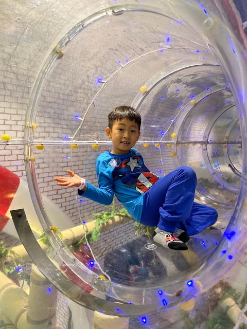 ［親子體驗］ATT大直PaPark爬爬客親子樂園，享受叢林攀爬的森林樂趣！