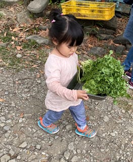 ［親子旅遊］高雄/美濃 森林塾無痕山林公益親子遊-秋冬樵夫之旅