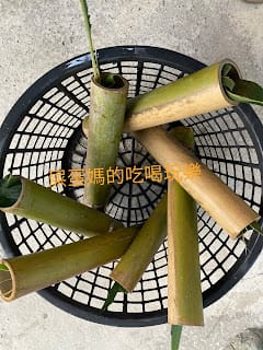 ［親子旅遊］高雄/美濃 森林塾無痕山林公益親子遊-秋冬樵夫之旅