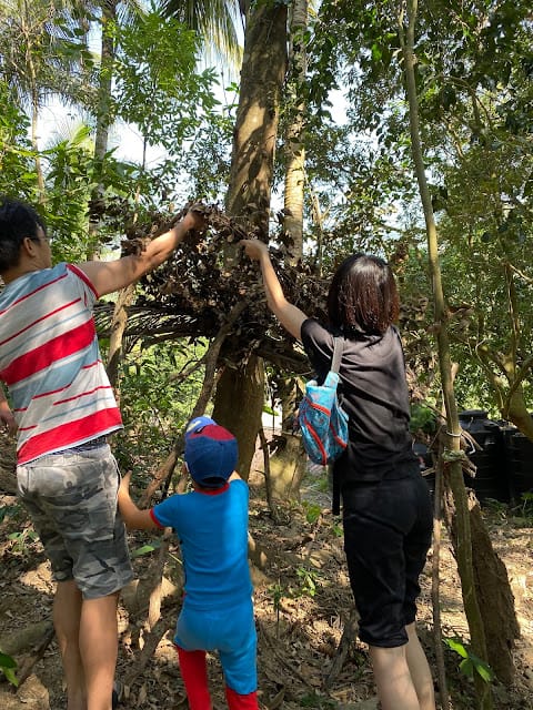 ［親子旅遊］高雄/美濃 森林塾無痕山林公益親子遊-秋冬樵夫之旅