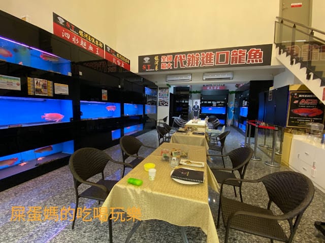[美食]林口S.T. 銀河系水族/寵物/餐廳,全台唯一摸鯊魚體驗!讓魚兒陪伴你用餐吧!