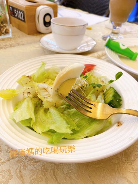 [美食]林口S.T. 銀河系水族/寵物/餐廳,全台唯一摸鯊魚體驗!讓魚兒陪伴你用餐吧!