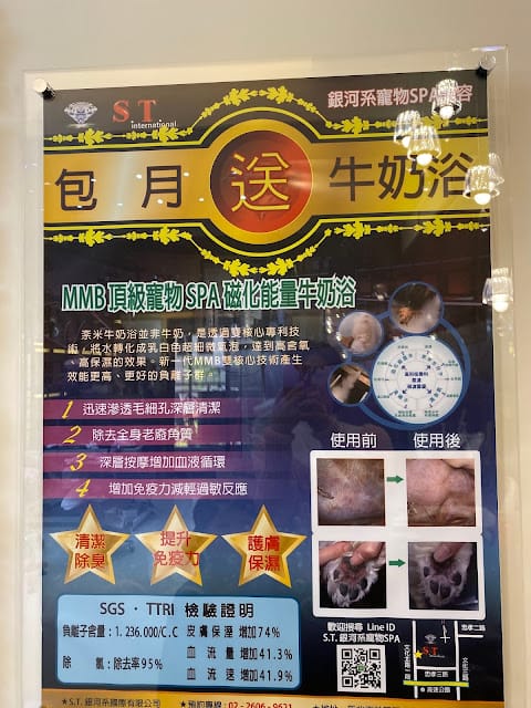 [美食]林口S.T. 銀河系水族/寵物/餐廳,全台唯一摸鯊魚體驗!讓魚兒陪伴你用餐吧!
