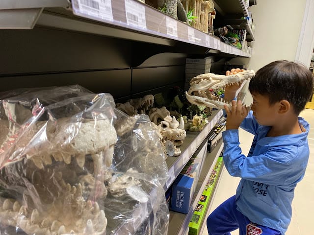 [美食]林口S.T. 銀河系水族/寵物/餐廳,全台唯一摸鯊魚體驗!讓魚兒陪伴你用餐吧!