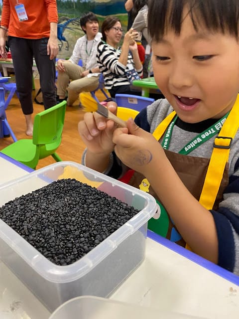 [親子體驗]樹谷生活科學館好好玩!恐龍慶生會、雲端歷險、樹谷刈稻飯餐廳