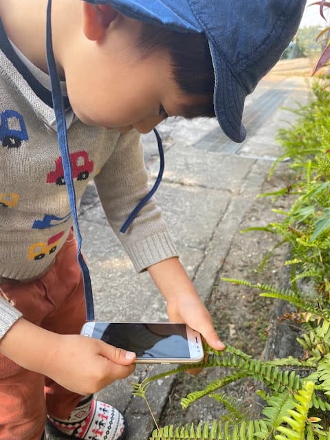 [實用分享]掌握寬廣的視野,發現微觀的世界~Bomgogo L6 手機廣角微距鏡頭組 & TIPSCOPE台灣獨家代理手機顯微鏡,手機拍照的必備神器!