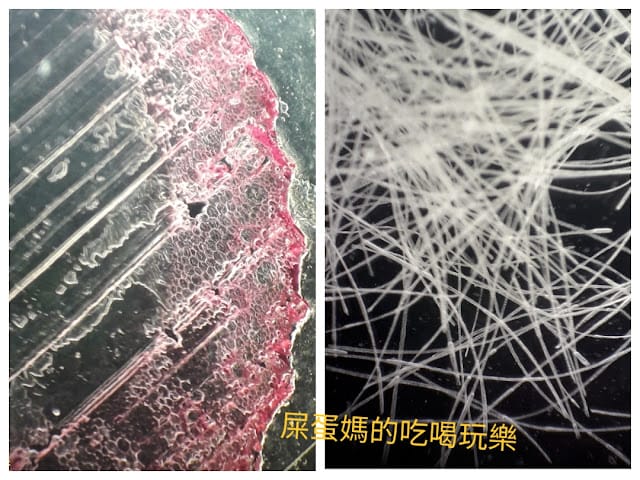 [實用分享]掌握寬廣的視野,發現微觀的世界~Bomgogo L6 手機廣角微距鏡頭組 & TIPSCOPE台灣獨家代理手機顯微鏡,手機拍照的必備神器!
