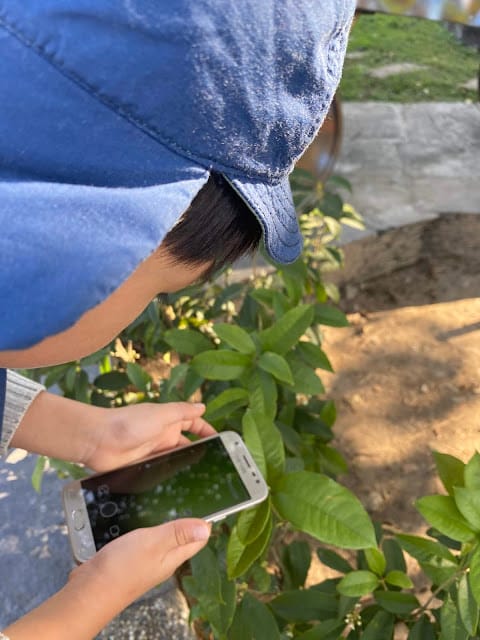 [實用分享]掌握寬廣的視野,發現微觀的世界~Bomgogo L6 手機廣角微距鏡頭組 & TIPSCOPE台灣獨家代理手機顯微鏡,手機拍照的必備神器!