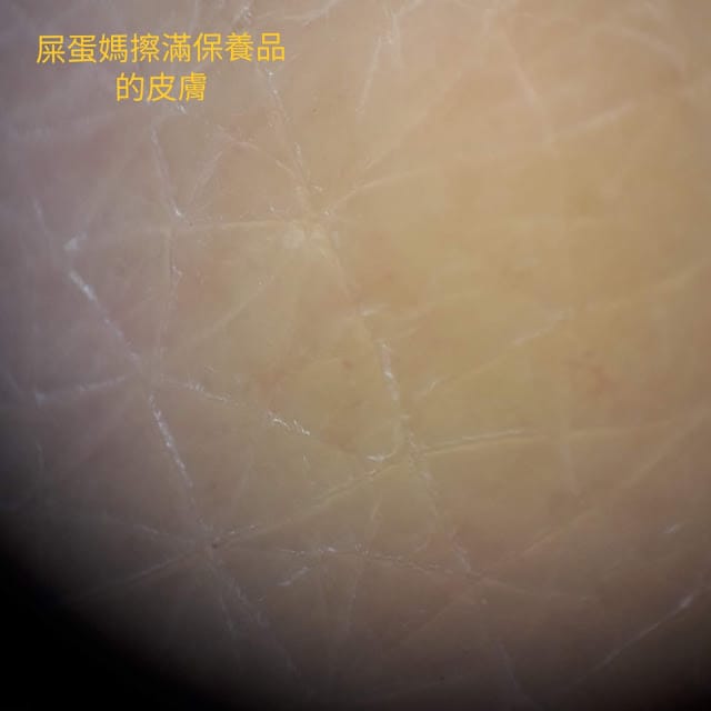 [實用分享]掌握寬廣的視野,發現微觀的世界~Bomgogo L6 手機廣角微距鏡頭組 & TIPSCOPE台灣獨家代理手機顯微鏡,手機拍照的必備神器!