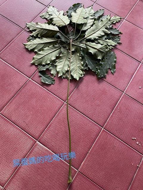 [親子旅遊]屏東山地門 安坡童玩王國,部落體驗營!