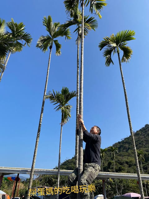 [親子旅遊]蘇菲凱文の快樂農場,親子露營的好去處!