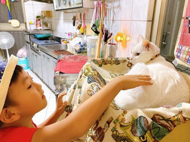 [親子住宿]太陽慢慢走親子寵物親善民宿,悠閒體驗台南慢活魅力!