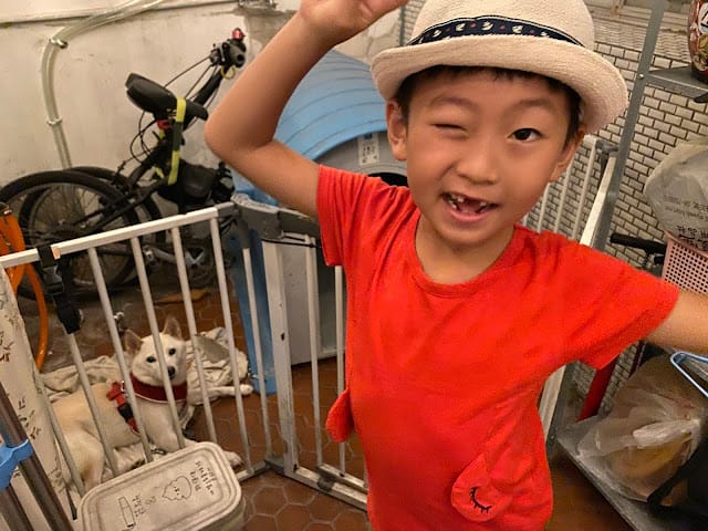 [親子住宿]太陽慢慢走親子寵物親善民宿,悠閒體驗台南慢活魅力!