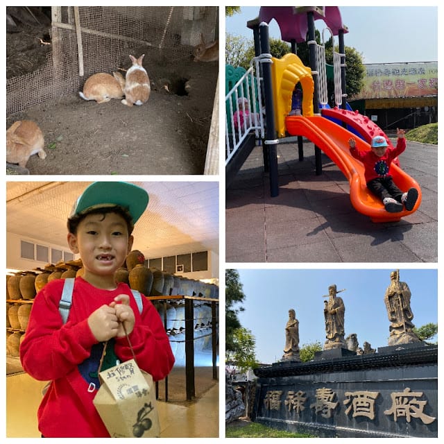 [親子住宿]雲林古坑棕櫚島民宿~濃濃南洋休閒風情的渡假民宿!順遊良作工場農業文創館/福祿壽觀光酒廠/古坑綠色隧道