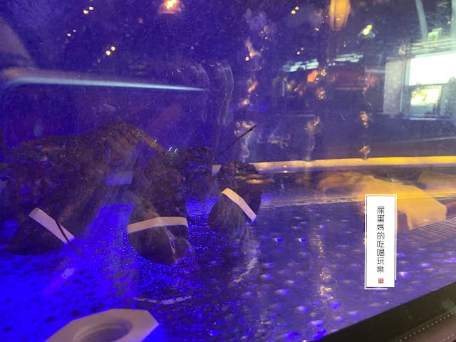 千荷田蔬食百匯涮涮鍋-高雄統一時代店,健康蔬食吃到飽! - 第23張圖 千荷田蔬食百匯涮涮鍋-高雄統一時代店,健康蔬食吃到飽!