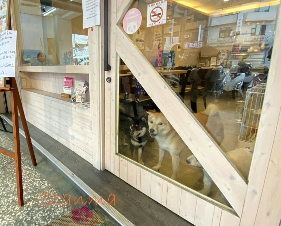 魔法咪嚕寵物主題餐廳,跟可愛毛小孩一起用餐吧!