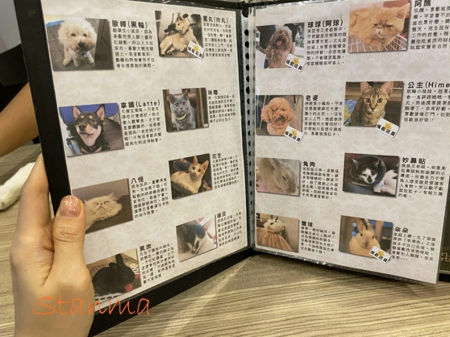 魔法咪嚕寵物主題餐廳,跟可愛毛小孩一起用餐吧!