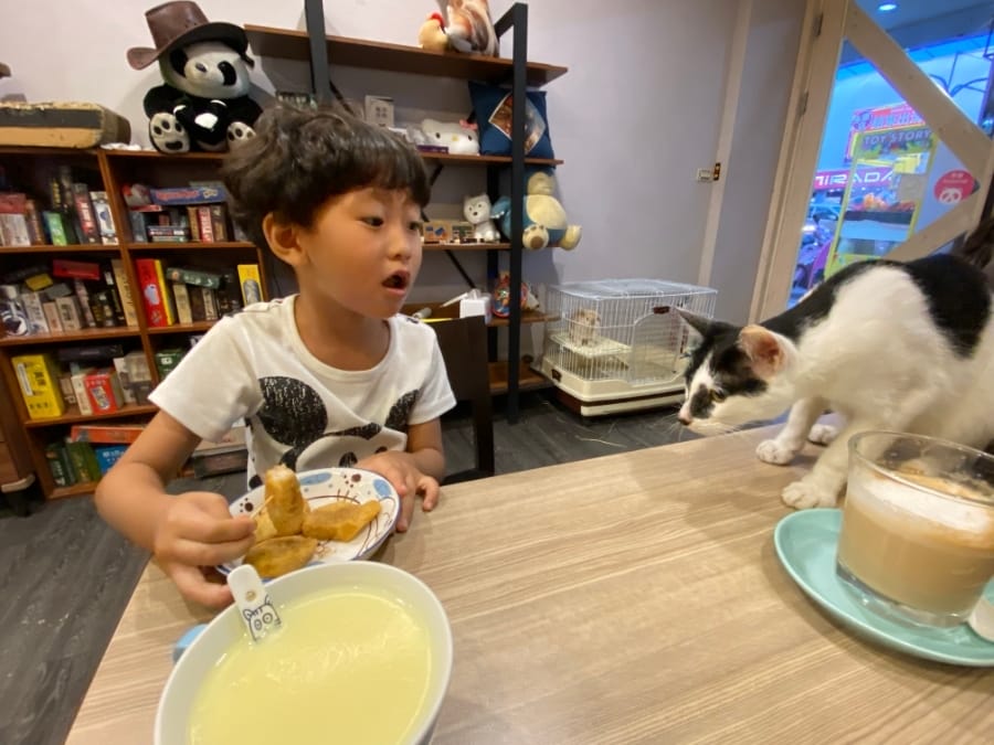 魔法咪嚕寵物主題餐廳,跟可愛毛小孩一起用餐吧!