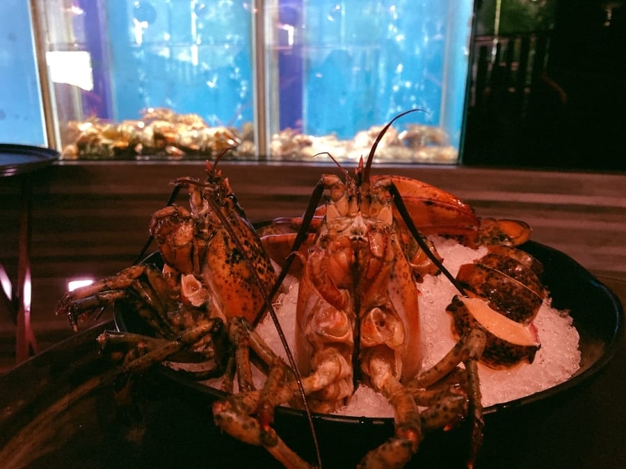 高雄銅花精緻涮涮鍋,龍蝦套餐 v.s 黃金稀飯奢華獨享完美用餐時光!
