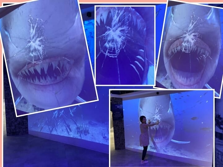 暑假怎麼玩?國家廣播文物館小小廣播員/拾粹院鯖魚主題館/愛木村休閒觀光工廠/洋房家廚料理 玩不怕熱昏頭!!